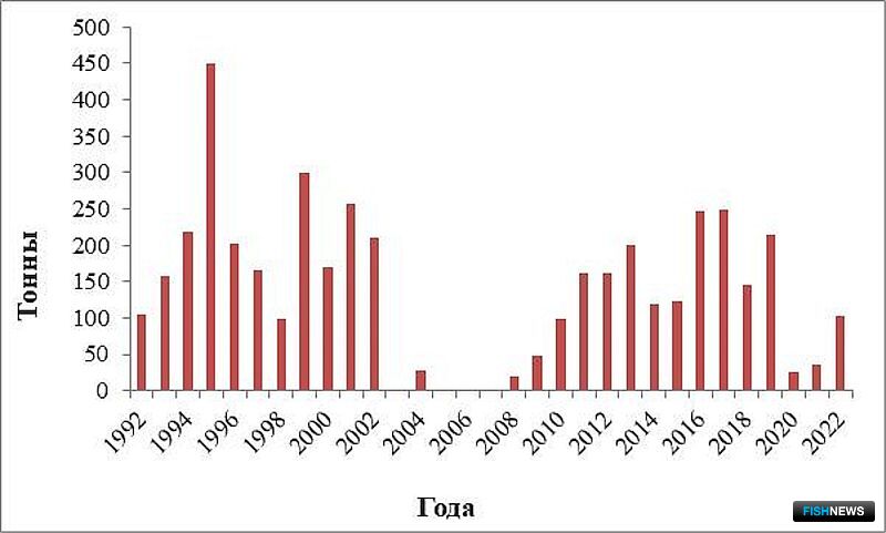 Рис. 18. Динамика вылова равношипого краба у южных Курильских островов с 1992 по 2022 гг.