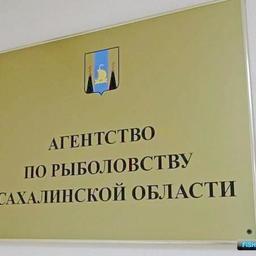Место главы агентства пока вакантно. Фото пресс-службы правительства Сахалинской области