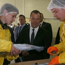 В августе премьер Дмитрий МЕДВЕДЕВ пообщался с представителями рыбной промышленности на Сахалине. Фото пресс-службы Правительства РФ