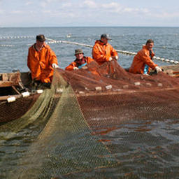 Сахалинцы поддержали Всероссийский съезд рыбаков