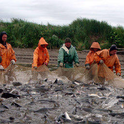 ФАС предложила дополнения в договор по рыбопромысловым участкам