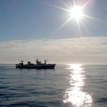 «Гонец» на службе рыбопромыслового флота