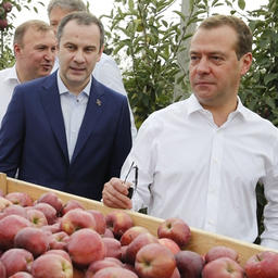 Премьер Дмитрий МЕДВЕДЕВ во время посещения плодового хозяйства «Черкесские сады». Фото пресс-службы правительства