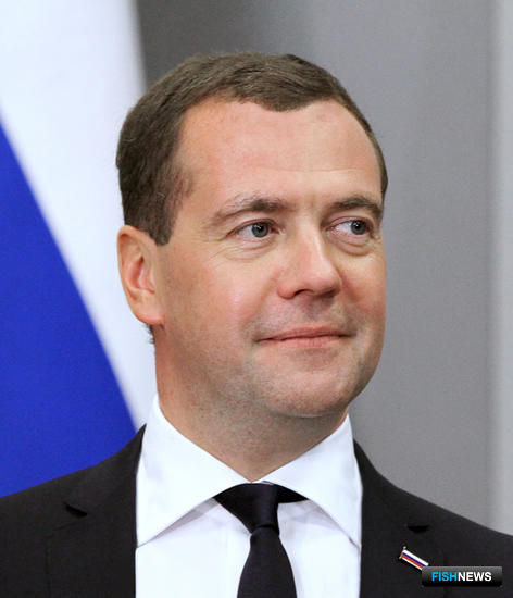   Премьер-министр Дмитрий МЕДВЕДЕВ. Фото пресс-службы правительства