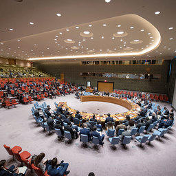 Совет Безопасности ООН. Фото ООН/Мануэль Элиас