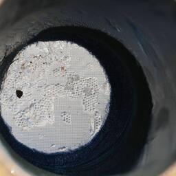 В Авачинском заливе специалисты изучали распределение икры минтая. Фото пресс-службы КамчатНИРО