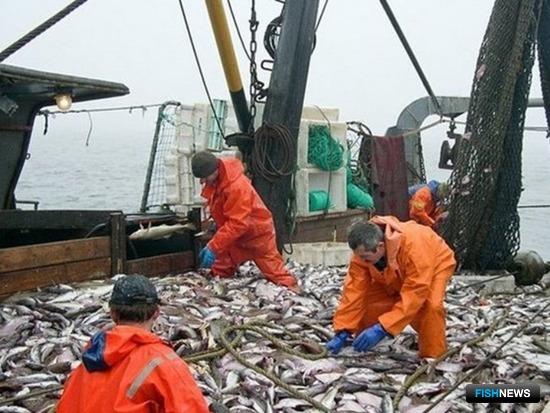 Рыбный промысел в Архангельской области. Фото пресс-службы правительства региона