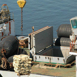 Лососевая путина 2009. Рыба доставлена в порт Владивостока