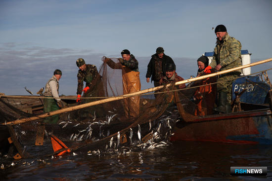 Лов рыбы на озере Ильмень
