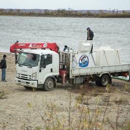 В Зею выпустили 217 тыс. мальков сазана. Фото пресс-службы ООО «Газпром переработка Благовещенск»