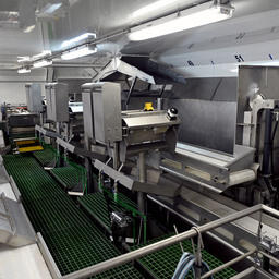 Главное преимущество судна — современная фабрика по производству варено-мороженой продукции мощностью до 30 тонн в сутки. Фото Льва Федосеева